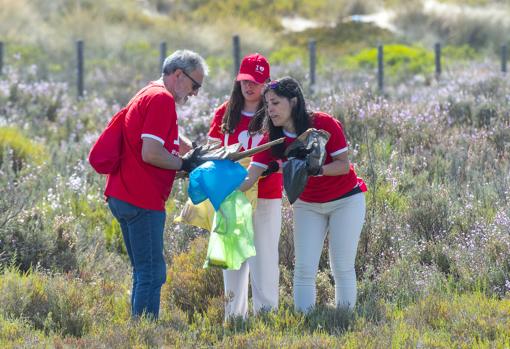 Mares Circulares celebra el Día Mundial de los Océanos con la retirada de 268 kilos de residuos de la playa de Valdelagrana