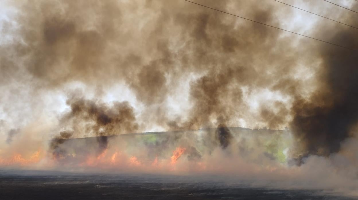 Bomberos interviene para frenar hasta ocho incendios simultáneos en la provincia de Cádiz