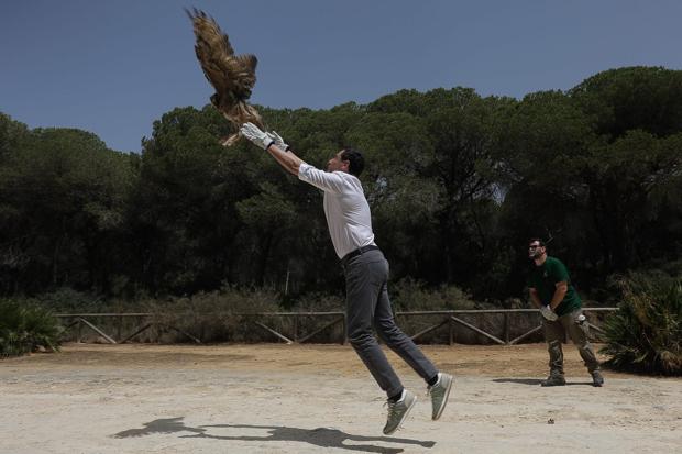 Juanma Moreno confía en «volar alto y solo» en las próximas elecciones