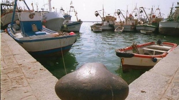 Herido grave un hombre tras ser atropellado por una máquina en el puerto pesquero de Barbate