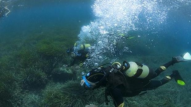 Muere un hombre mientras practicaba buceo en el puerto de Tarifa