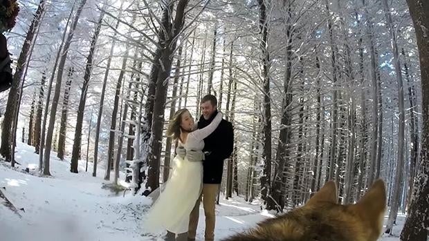 Esto es lo que ocurre si dejas que tu perro grabe el vídeo de tu boda