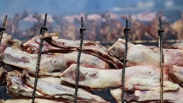 La falda de cordero y la cola de pavo han variado las costumbres alimenticias de Tonga