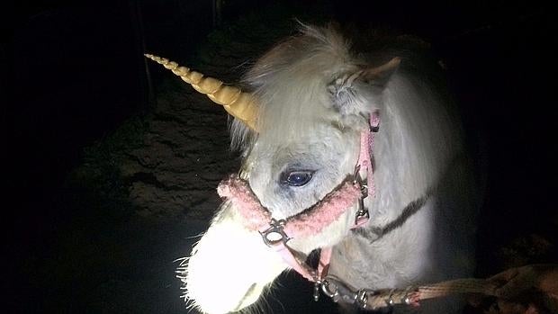 El unicornio tuvo en vilo durante varias horas a esta localidad californiana