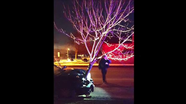 Imagen del coche con el árbol incrustado subida a Facebook