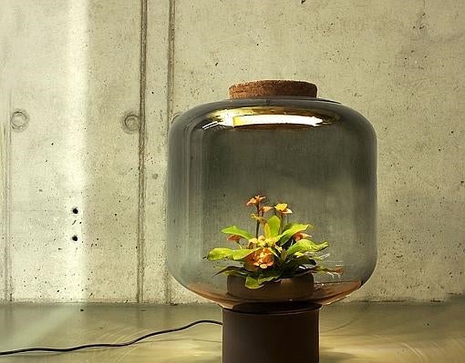 La solución para los espacios cerrados: lámparas sin luz natural ni agua donde crecen plantas