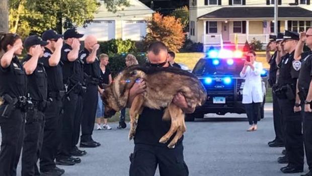 Así fue la emocionante despedida a un perro policía enfermo terminal