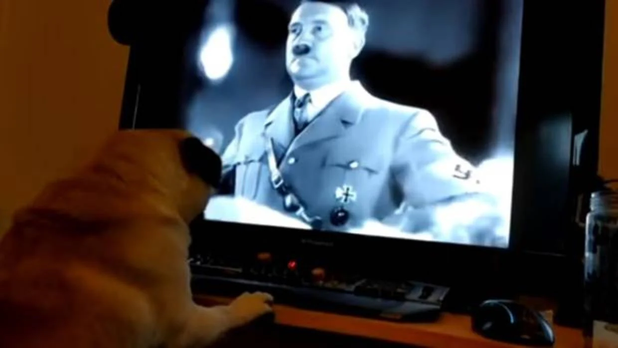 900 euros de multa por enseñar el saludo nazi a su perro y difundirlo en YouTube