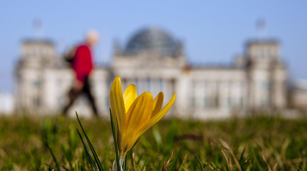 Te proponemos algunas frases para dar la bienvenida a la primavera