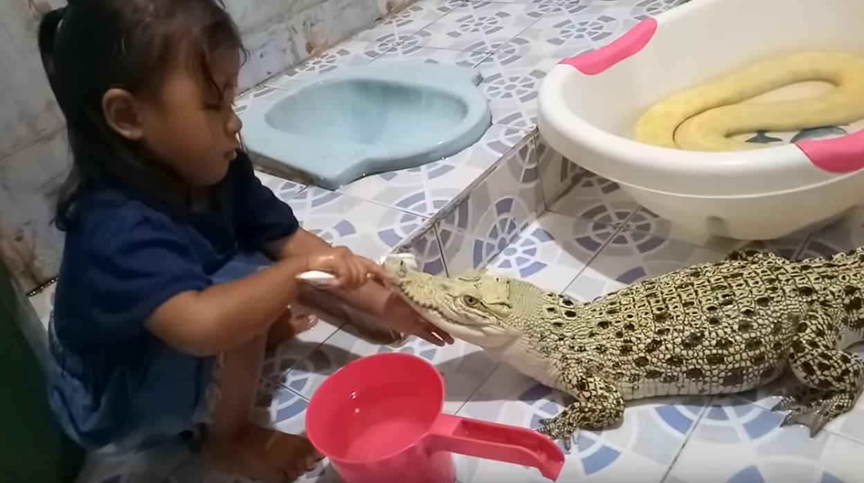Una niña cepilla los dientes a un cocodrilo