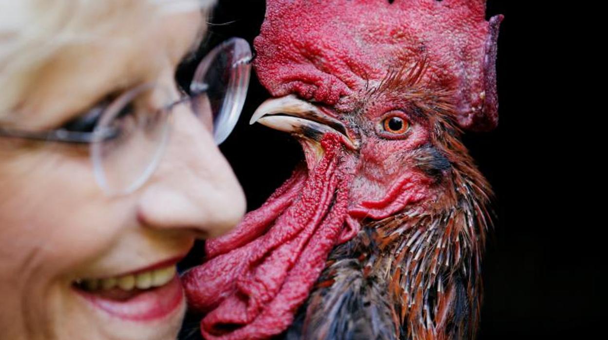 Corinne Fesseau posa con su gallo Maurice