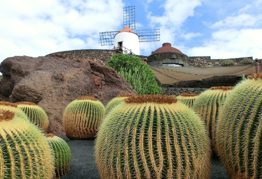 El Jardín de Cactus reúne especies de todo el mundo