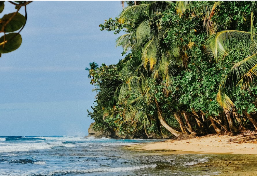 Playa Manzanillo es una de las dos que están bañadas por el Caribe en Costa Rica