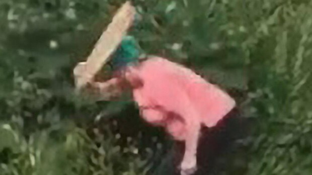 Una mujer golpea con un tablón de madera a una pareja a la que pilló teniendo sexo tras un arbusto en Rusia