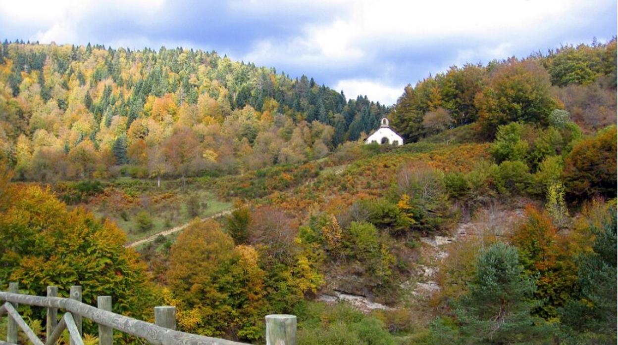 Bosques como la Selva de Irati se llenan de tonalidades ocre y verde que le dan un aspecto único