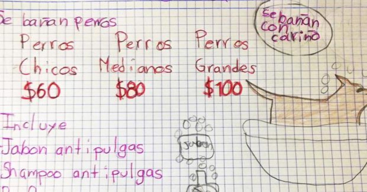 «Se bañan perros con cariño»: un niño de 7 años que quiere ser veterinario inicia un negocio para ahorrar