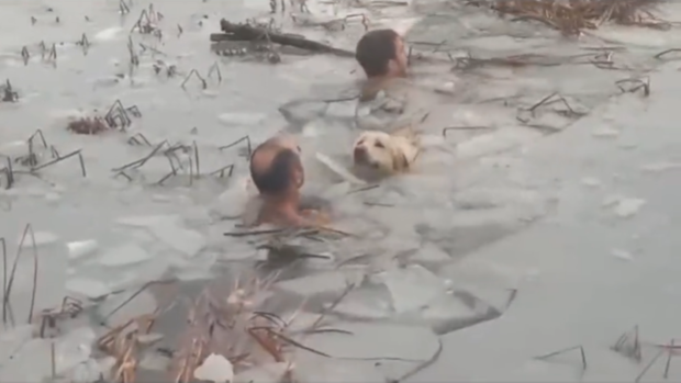 Dos guardias civiles rescatan a un perro de una balsa helada en Huesca