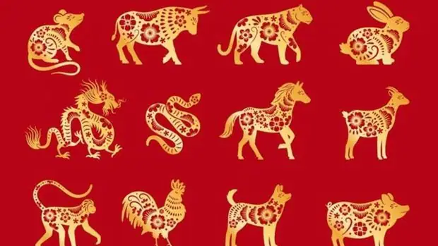 Cuándo inicia el Año Nuevo Chino 2022 y qué animal lo representará, Predicciones del Año del Tigre de agua, LUCES