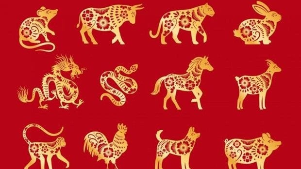 Horóscopo chino Tigre: ¡La personalidad del signo Tigre!