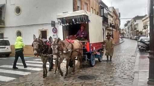 Día 40: Los cuatro peregrinos vascos ya peregrinan con la hermandad de Lucena rumbo a El Rocío