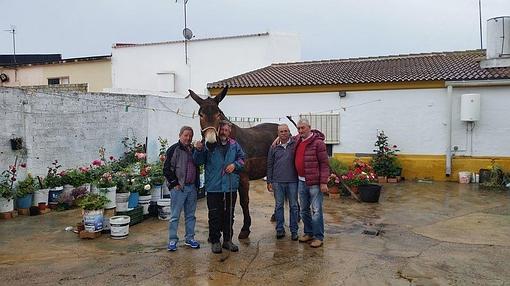 Día 40: Los cuatro peregrinos vascos ya peregrinan con la hermandad de Lucena rumbo a El Rocío