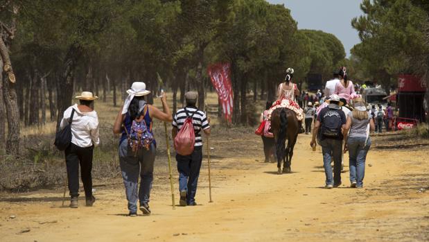 El camino del Rocío: Este es el estado de las principales sendas