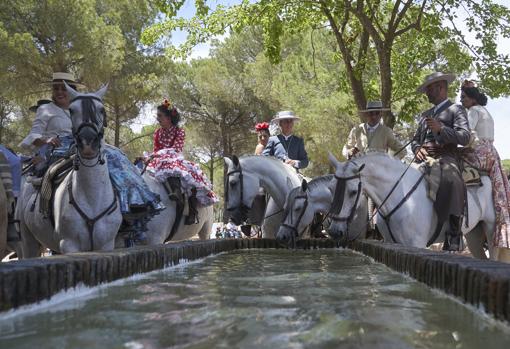 En imágenes, los mejores momentos del Rocío 2019