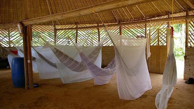 Medidas de protección de la malaria
