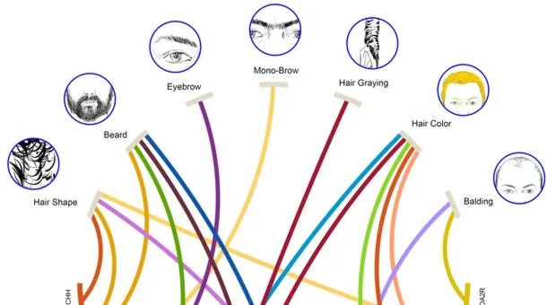 Gráfico de cómo los genes influyen en el pelo, barba, etc.