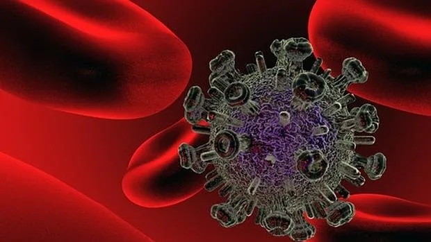 La ayuda de las bacterias intestinales es fundamental para la restauración inmunológica de las personas con VIH