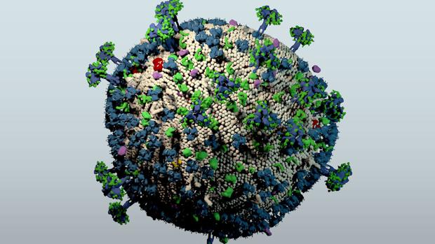 Un sistema inmune 'pasota' evita que el VIH progrese