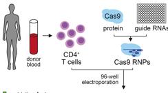 Proceso de edición de genes