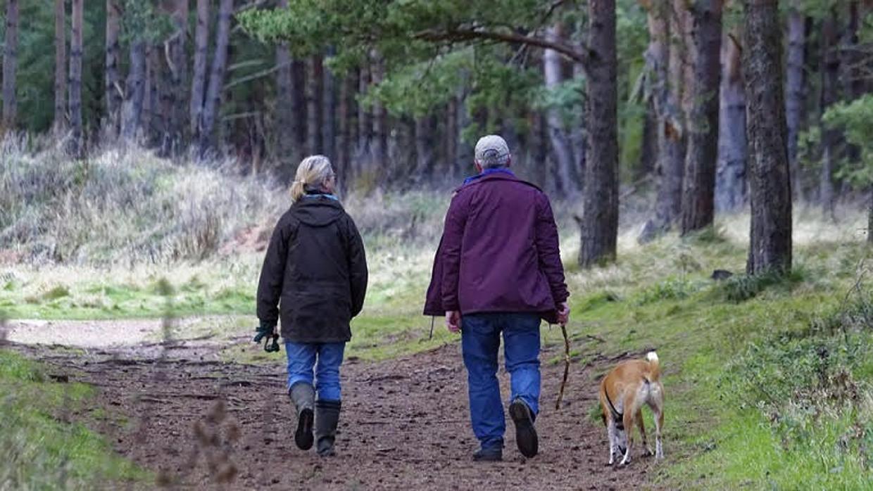 Tener un perro ayuda a los mayores a ser más activos