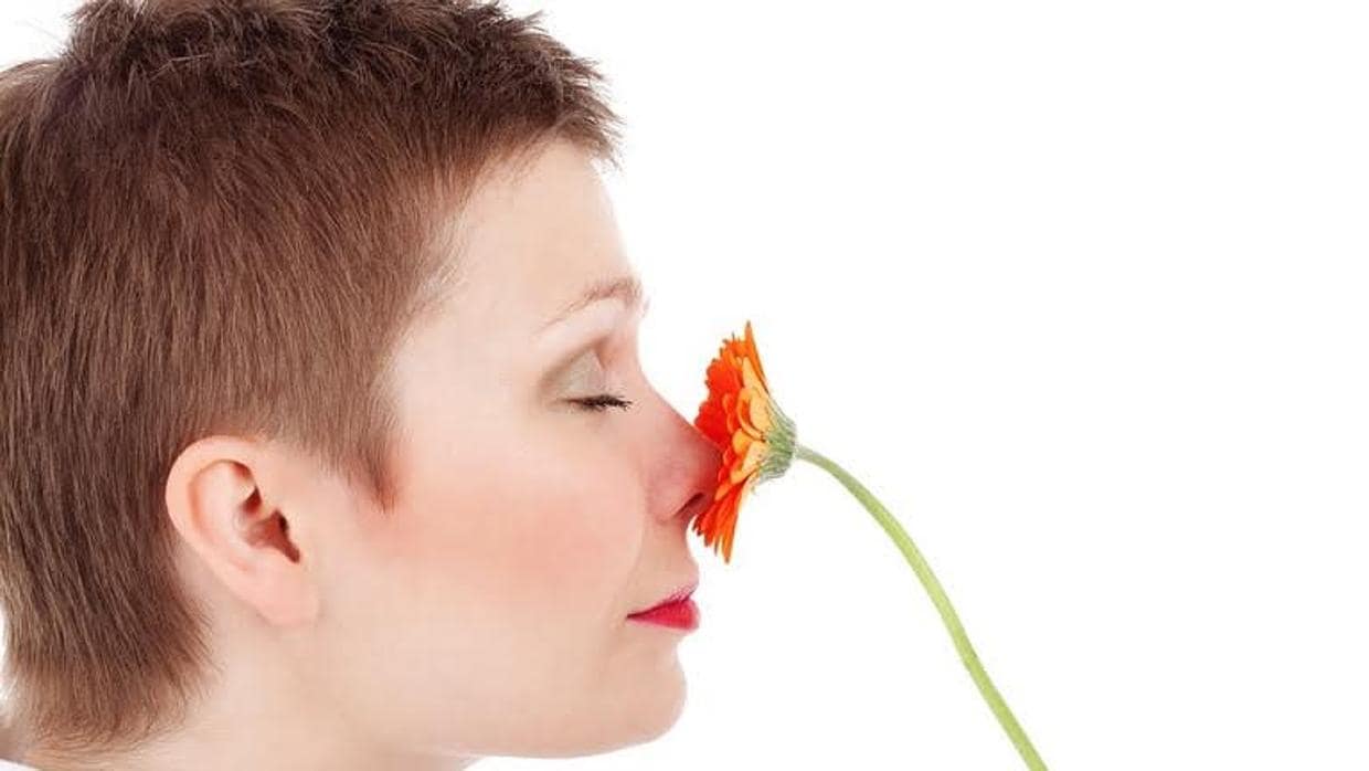 La pérdida del sentido del olfato podría alertar de un mayro riesgo de demencia