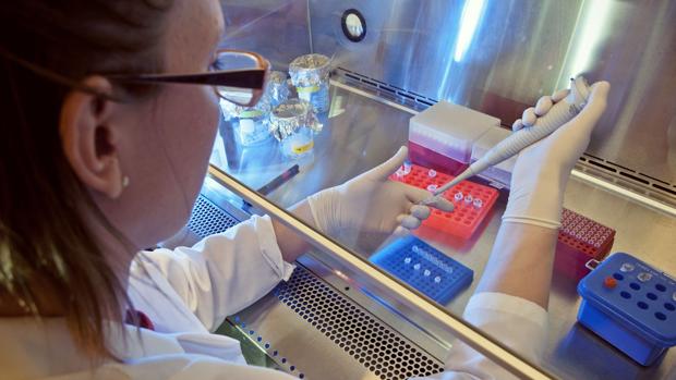 Los nuevos ensayos clínicos, basados en biomarcadores,  son capaces de reducir los tiempos y costes del proceso