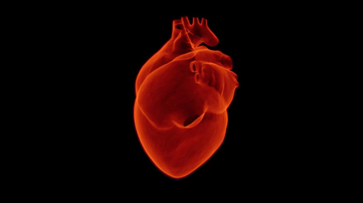 La cardiopatía isquémica es la principal causa de muerte en mujeres y hombres