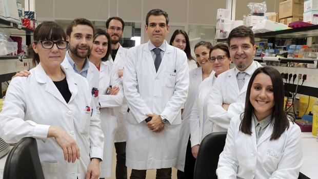 Descubren que el bloqueo de un gen detiene la progresión del cáncer de pulmón