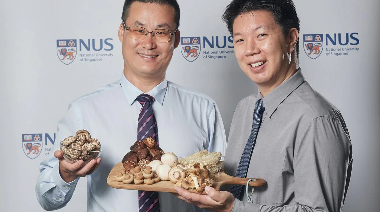 El profesor Lei Feng (izquierda) y el doctor Irwin Cheah posan con las setas mencionadas en el estudio sobre deterioro en el cerebro
