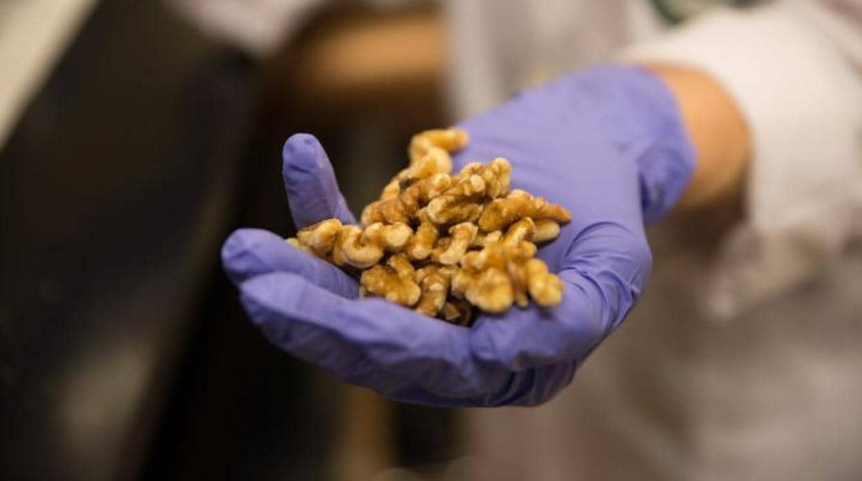 El estudio relaciona el consumo de 57 gramos de nueces al día con un mejor pronóstico del cáncer de mama