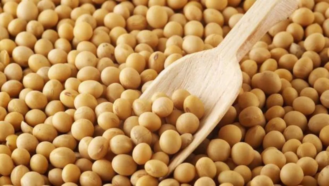 La proteína de soja reduce el colesterol «malo»