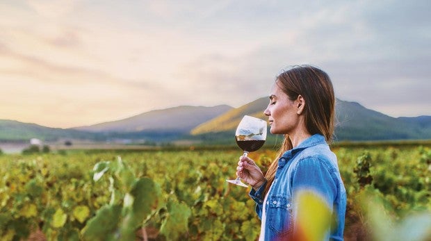 El poder antiestrés del resveratrol del vino tinto