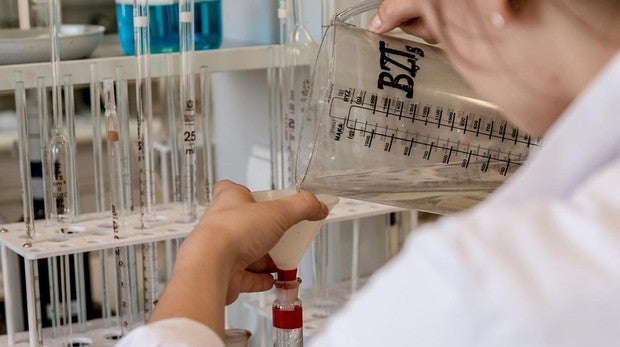 Confirman el riesgo familiar de los cánceres de la sangre