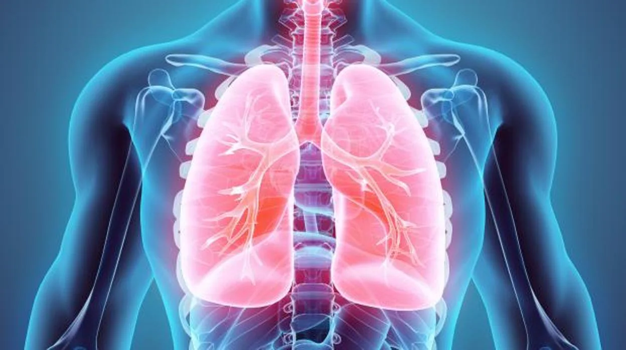 PharmaMar solicitará en EE.UU. el registro de un nuevo fármaco contra el cáncer de pulmón microcítico