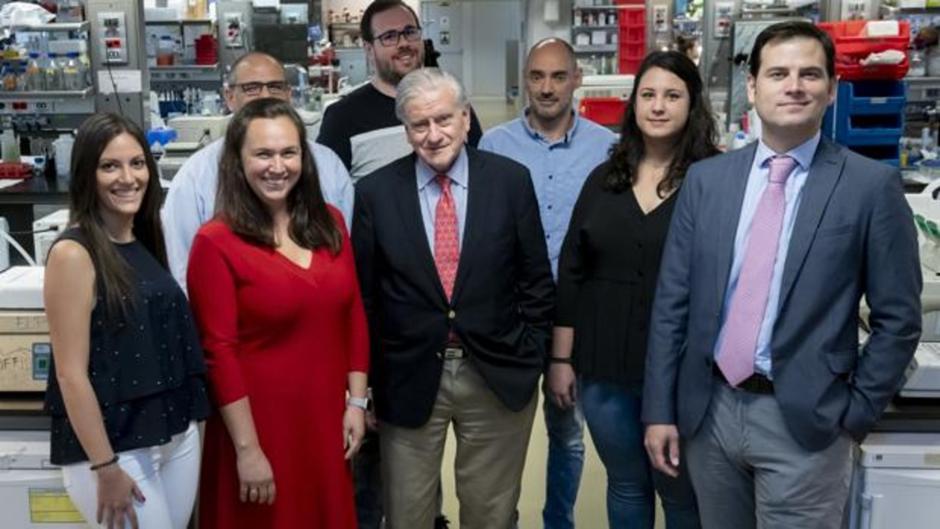 Investigadores del CNIC diseñan un fármaco que evita la pérdida de memoria en el alzhéimer