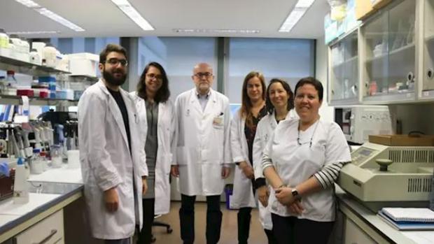 Descubren material genético que impide que las células cancerosas actúen a distancia y formen metástasis