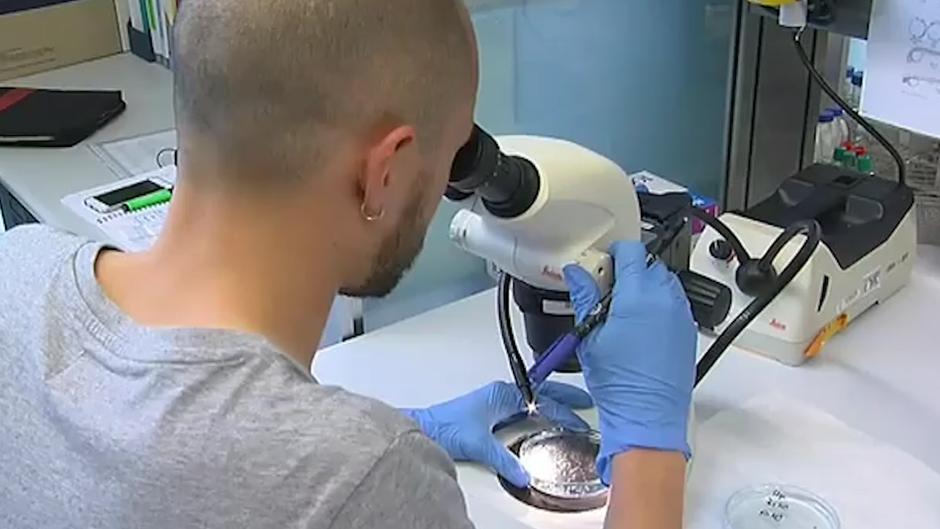 En busca de antivirales eficaces contra el coronavirus