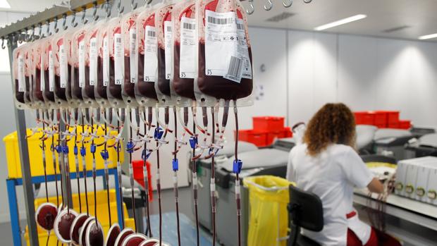 Un análisis de sangre rastrea las infecciones y el nivel de anticuerpos en la comunidad