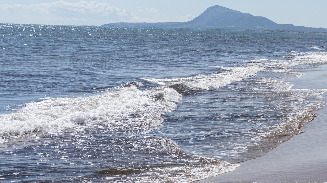 Playa de Oliva estos días