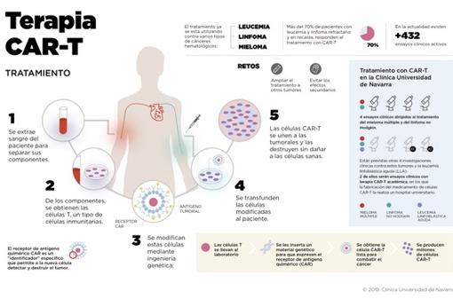 Funcionamiento de las terapias con células CAR-T.