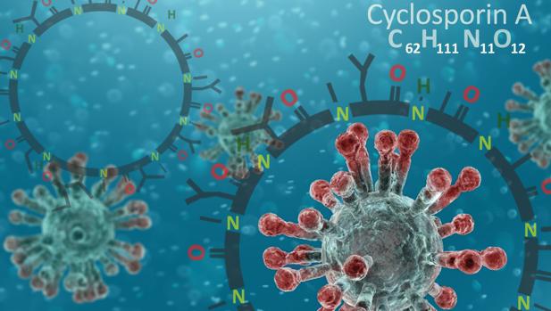 Ciclosporina, el prometedor fármaco que reduce un 81% las probabilidades de fallecer por Covid-19